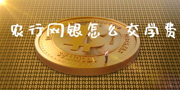 农行网银怎么交学费_https://wap.lxcailiao.com_金融监管_第1张