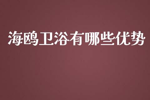 海鸥卫浴有哪些优势_https://wap.lxcailiao.com_融资担保_第1张