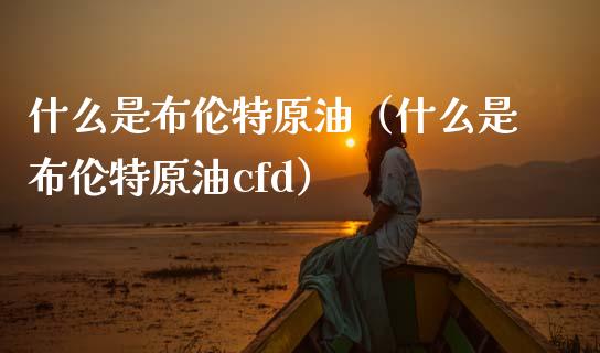 什么是布伦特原油(什么是布伦特原油cfd)_融资担保_第1张_金融监管_融资担保_财务管理_股权投资 什么是布伦特原油(什么是布伦特原油cfd)_https://wap.lxcailiao.com_融资担保_第1张
