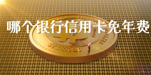 哪个银行信用卡免年费_https://wap.lxcailiao.com_股权投资_第1张