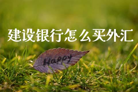 建设银行怎么买外汇_https://wap.lxcailiao.com_股权投资_第1张