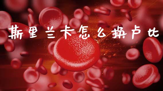 斯里兰卡怎么换卢比_https://wap.lxcailiao.com_融资担保_第1张