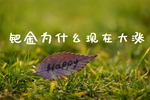 钯金为什么现在大涨_https://wap.lxcailiao.com_融资担保_第1张