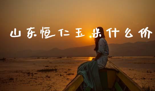 山东恒仁玉米什么价_https://wap.lxcailiao.com_股权投资_第1张