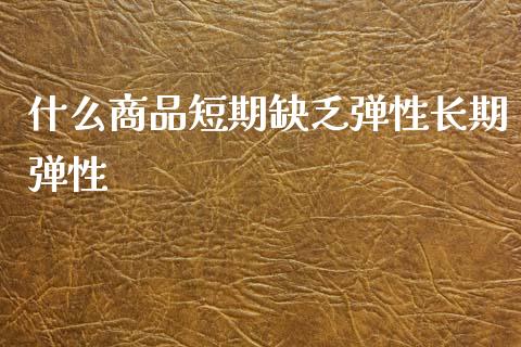 什么商品短期缺乏弹性长期弹性_https://wap.lxcailiao.com_融资担保_第1张