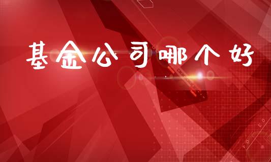 基金公司哪个好_https://wap.lxcailiao.com_融资担保_第1张