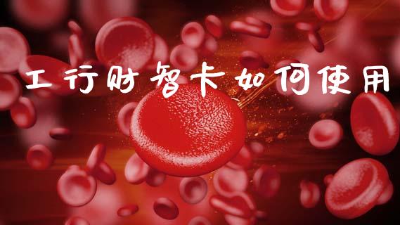 工行财智卡如何使用_https://wap.lxcailiao.com_股权投资_第1张