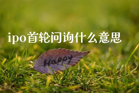 ipo首轮问询什么意思_https://wap.lxcailiao.com_财务管理_第1张