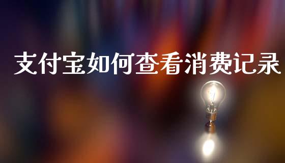 支付宝如何查看消费记录_https://wap.lxcailiao.com_融资担保_第1张