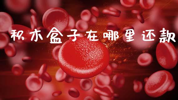 积木盒子在哪里还款_https://wap.lxcailiao.com_金融监管_第1张