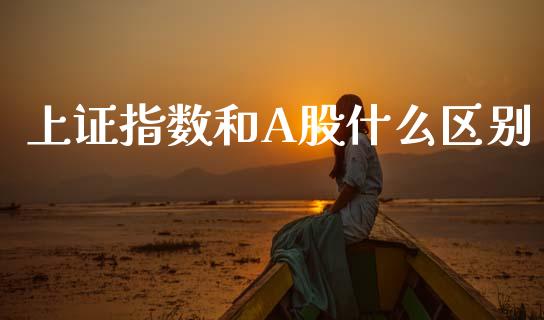 上证指数和A股什么区别_https://wap.lxcailiao.com_金融监管_第1张