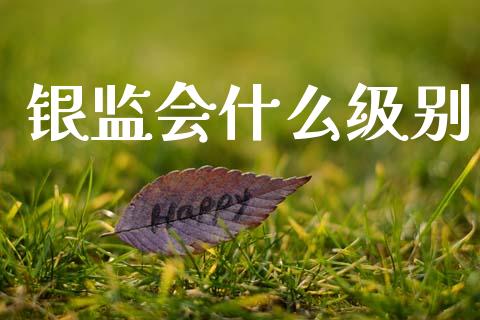 银监会什么级别_https://wap.lxcailiao.com_融资担保_第1张