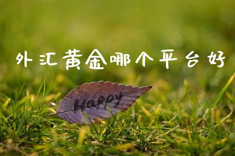 外汇黄金哪个平台好_https://wap.lxcailiao.com_股权投资_第1张