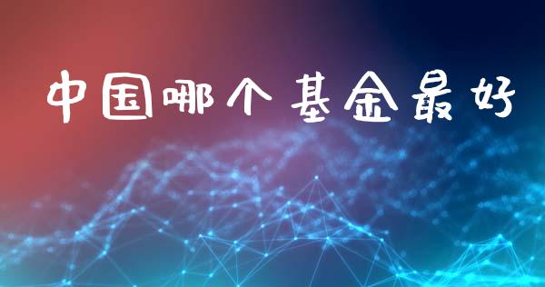 中国哪个基金最好_https://wap.lxcailiao.com_金融监管_第1张