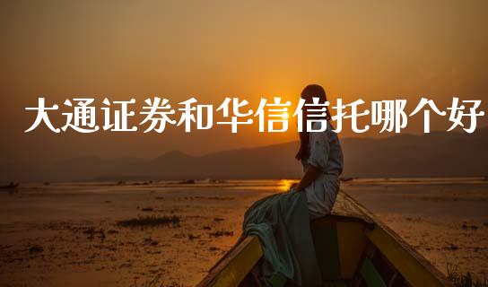 大通证券和华信信托哪个好_https://wap.lxcailiao.com_金融监管_第1张