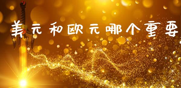 美元和欧元哪个重要_https://wap.lxcailiao.com_融资担保_第1张