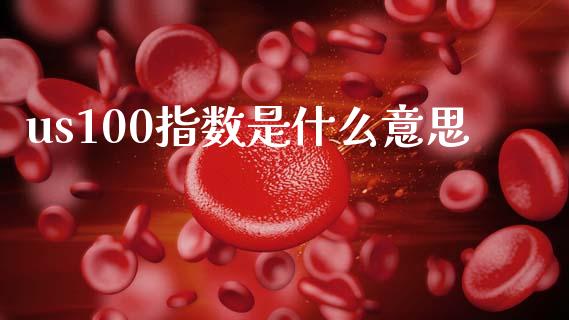 us100指数是什么意思_https://wap.lxcailiao.com_财务管理_第1张
