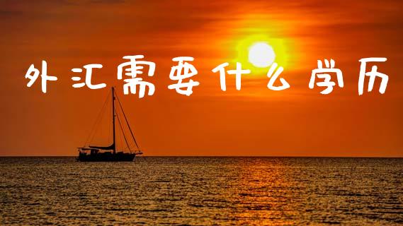 外汇需要什么学历_https://wap.lxcailiao.com_股权投资_第1张