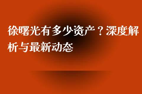 徐曙光有多少资产？深度解析与最新动态_https://wap.lxcailiao.com_融资担保_第1张