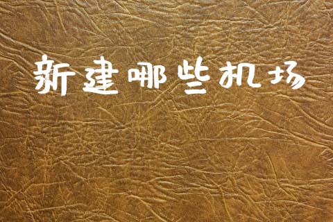 新建哪些机场_https://wap.lxcailiao.com_财务管理_第1张