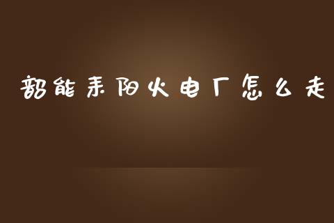 韶能耒阳火电厂怎么走_https://wap.lxcailiao.com_股权投资_第1张