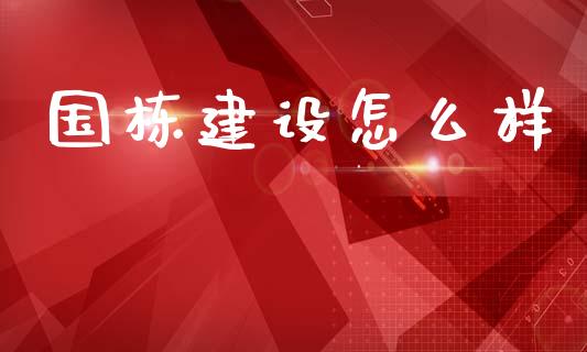 国栋建设怎么样_https://wap.lxcailiao.com_股权投资_第1张