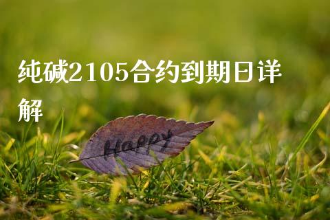 纯碱2105合约到期日详解_https://wap.lxcailiao.com_财务管理_第1张