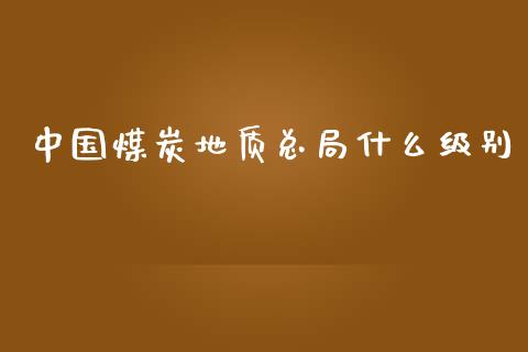 中国煤炭地质总局什么级别_https://wap.lxcailiao.com_金融监管_第1张