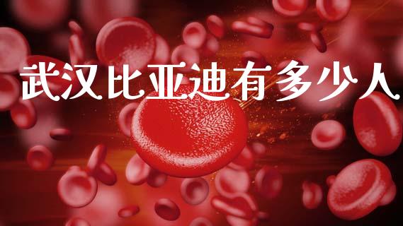 武汉比亚迪有多少人_https://wap.lxcailiao.com_金融监管_第1张