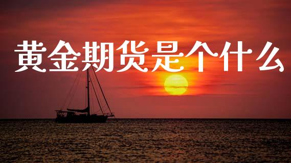 黄金期货是个什么_https://wap.lxcailiao.com_融资担保_第1张