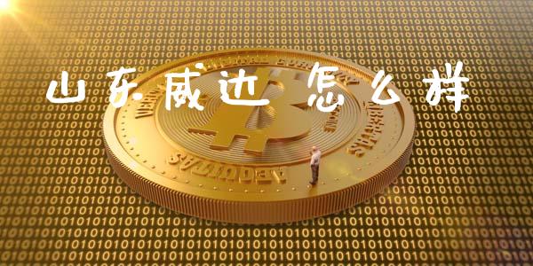 山东威达 怎么样_https://wap.lxcailiao.com_财务管理_第1张