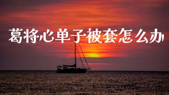 葛将心单子被套怎么办_https://wap.lxcailiao.com_股权投资_第1张