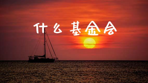 什么基金会_https://wap.lxcailiao.com_金融监管_第1张