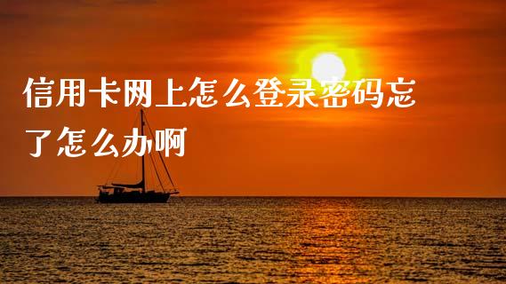 信用卡网上怎么登录密码忘了怎么办啊_https://wap.lxcailiao.com_金融监管_第1张