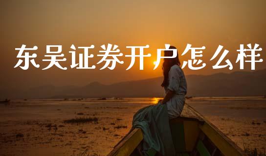 东吴证券开户怎么样_https://wap.lxcailiao.com_财务管理_第1张