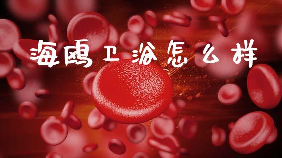 海鸥卫浴怎么样_https://wap.lxcailiao.com_融资担保_第1张
