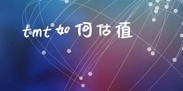 tmt如何估值_https://wap.lxcailiao.com_金融监管_第1张