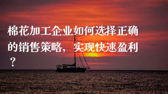 棉花加工企业如何选择正确的销售策略，实现快速盈利？_https://wap.lxcailiao.com_金融监管_第1张