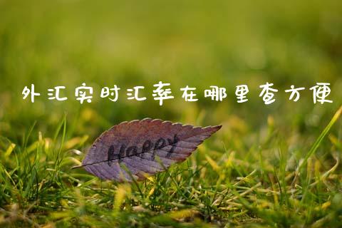 外汇实时汇率在哪里查方便_https://wap.lxcailiao.com_融资担保_第1张