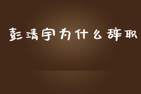 彭清宇为什么辞职_https://wap.lxcailiao.com_融资担保_第1张