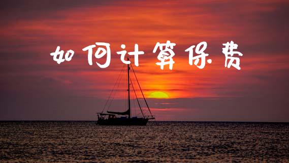 如何计算保费_https://wap.lxcailiao.com_财务管理_第1张