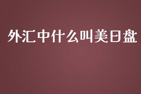外汇中什么叫美日盘_https://wap.lxcailiao.com_股权投资_第1张