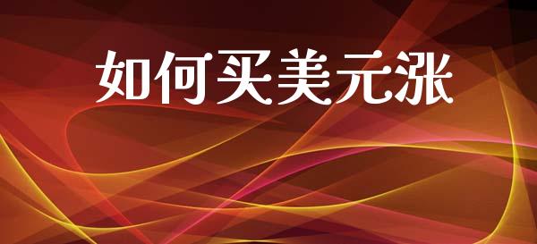 如何买美元涨_https://wap.lxcailiao.com_股权投资_第1张