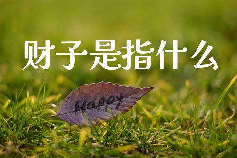 财子是指什么_https://wap.lxcailiao.com_金融监管_第1张