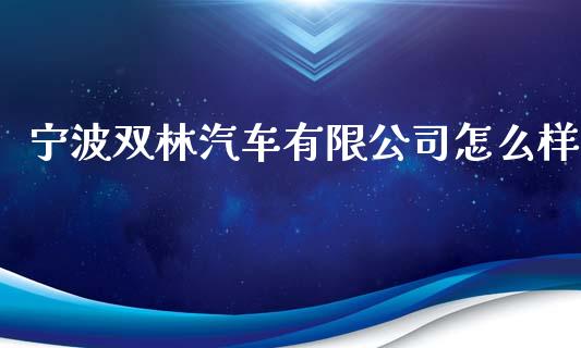宁波双林汽车有限公司怎么样_https://wap.lxcailiao.com_财务管理_第1张