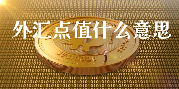 外汇点值什么意思_https://wap.lxcailiao.com_财务管理_第1张