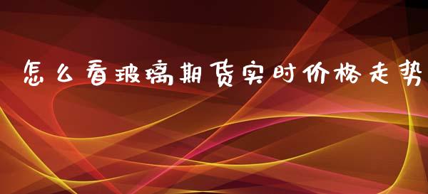 怎么看玻璃期货实时价格走势_https://wap.lxcailiao.com_财务管理_第1张