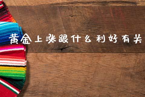 黄金上涨跟什么利好有关_https://wap.lxcailiao.com_财务管理_第1张
