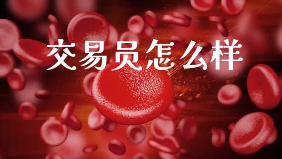 交易员怎么样_https://wap.lxcailiao.com_股权投资_第1张