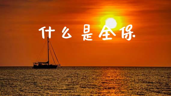 什么是全保_https://wap.lxcailiao.com_股权投资_第1张